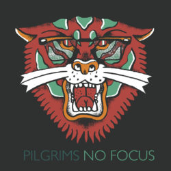 The Pilgrims - No Focus 12"